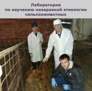 Лаборатория по изучению болезней незаразной этиологии сельскохозяйственных животных