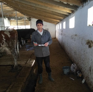Руководитель филиала Центра провел исследования коров на субклинический мастит в одном из хозяйств Карабудахкентского района