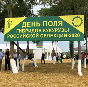 Гасан Догеев принял участие в «Дне поля гибридов кукурузы российской селекции – 2020»