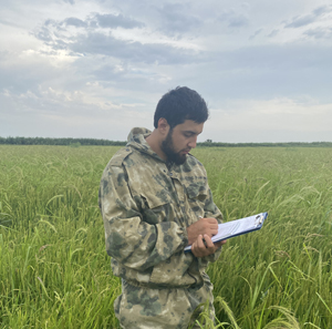 Сотрудники ФАНЦ РД провели исследования на посевах риса в Кизлярском районе